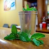 Mint Julep Cup - 10 fl oz