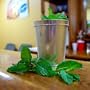 Mint Julep Cup - 10 fl oz