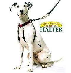 Sporn Training Dog Halter - Large