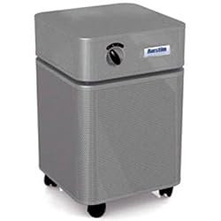 Austin Air Pet Machine