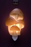 Flowers of Light Night Light Mushrooms Ibis and Orchid Design