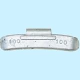 打ち込みウエイトL/T用 リング付 100g 12846