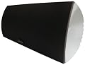 Definitive Technology NCVB ProCenter 100 Mk II Compact Center Speaker (Single) (Silver)