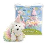 Noodle Head Pawparazzi Pet Dream Birthday Dress Up Set 31SnLRzRKWL. SL160 Noodle Head Pawparazzi Pet Dream Birthday Dress Up Set