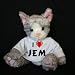 Plush Stuffed Cat (Kit Kat) toy I Love Jem t-shirt