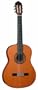 Giannini GWNC4 EL Asturias Handcrafted Series Classical Guitar (Acoustic-Electric, Nylon)