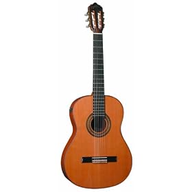 Giannini GWNC4 EL Asturias Handcrafted Series Classical Guitar (Acoustic-Electric, Nylon) by 