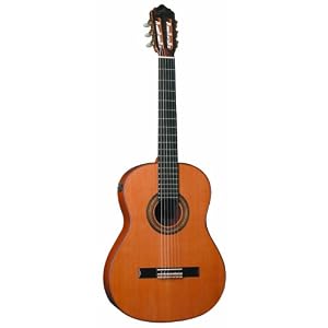 Giannini GWNC4 EL Asturias Handcrafted Series Classical Guitar (Acoustic-Electric, Nylon) by