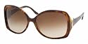 BVLGARI 8035 Sunglasses