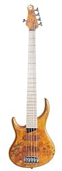 MTD Kingston Bass Guitar Z 5 String, Fretless with Lines, Left-handed, Burled Maple