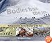 Bodies from the Ice: Melting Glaciers and the Recovery of the Past