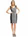 Banana Republic Petite stretch colorblock dress