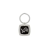 Stainless Steel and Black Enamel Detroit Lions Keychain