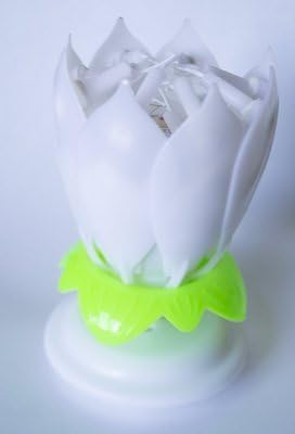 OOOUSE Amazing Birthday Candle Flower Special For Birthday Random Color, white