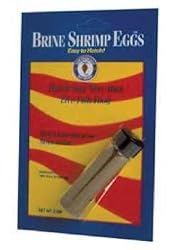 San Francisco Bay Brine Shrimp Eggs 6g