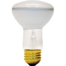 GE Lighting 25777 40-Watt Soft White Intermediate Base R14 Light Bulb, 1-Pack