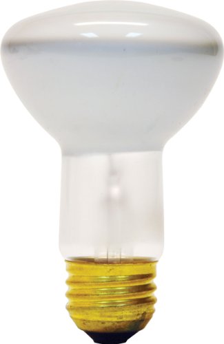 GE 25777 40-Watt Soft Bulb 1-Pack