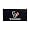 Houston Texans
