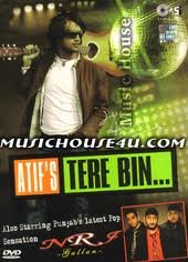 Atif Aslam - Bin Tere - Zortam Music