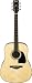 Ibanez Artwood AW300DVS Traditional Acoustic Guitar - Natural