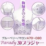 Parady@3DuW[@u[x[A70