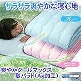 �u�₩�N�[���}�b�N�X�~�p�b�h�iAg���H�j�u���[
