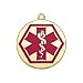 Medical Disc Charm