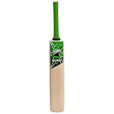 Hawk Kashmir Willow Cricket Bat