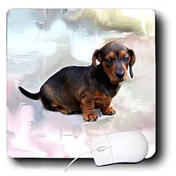 image link -  - B002I85VQ0