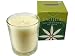Aromatic Christmas Holiday Home Decor Soy Wax Tahitian Gardenia Scented Candle - By Pacifica