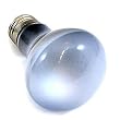 60 watt Bulb White