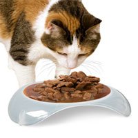 SmartCat Shallow Elevated Natural Plastic Cat Dish small 3-oz