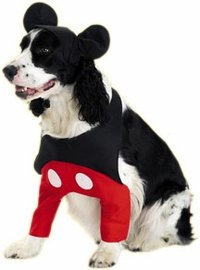 Mickey Mouse Dog Costume For Medium Dogs