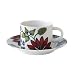 iittala �C�b�^�� RUNO ���m �T�}�[���C �e�B�[�J�b�v���\�[�T�[