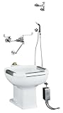 KOHLER K-6676-0 Tyrrell Service Sink, White