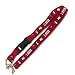Miami Heat Lebron James Lanyard