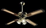 Deckenventilator G3 Ferrari Top Gun 1YP81005