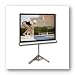 Elite Screens Tripod Portable Screen, Max White 1.1 Gain, 113" Inch Diagonal, 1:1 Aspect Ratio