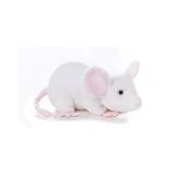 Plush Blanco White Mouse 8 � - B000GBMH6S