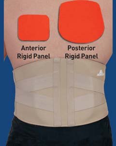 AP Rigid Lumbar Support, beige, Size: M