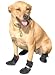 Integrated Pet Solutions