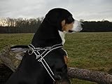 Eigenschaften Limex  / Hundegeschirr Reflex 100-110, schwarz