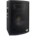 PYLE-PRO PADH879 - 300 Watt 8'' Two-Way Speaker Cabinet
