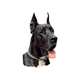 World Stickers Schwandt Heimtierbedarf 12081 Aufkleber 4 St&uuml;ck ca. 80 x 80 mm f&uuml;r Warnschild Deutsche Dogge schwarz