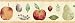 Natural Fruits Primaries Self-Adhesive Wall Border 12.5cm