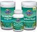 Personal Health Care : Garden of Life Perfect Food Powder (300 grams)