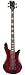 Spector Basses Euro Series RB4DLXZBKS 4-Strings Bass Guitar, Zebra Gloss Natural