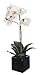House of Silk Flowers Artificial 17-Inch Phalaenopsis Orchid, Mini, White