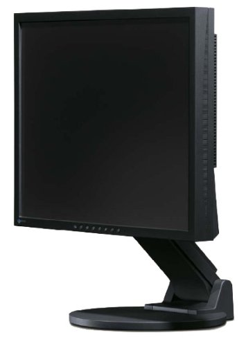Eizo S1911SH-BK 19 Zoll TFT Monitor, DVI / analog, schwarz (Kontrast 700:1, 2 ms Reaktionszeit)