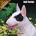   - 2008 Bull Terrier 2008 16 Month Wall Calendar **IN STOCK NOW**